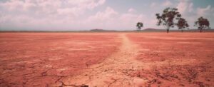 Dry ground