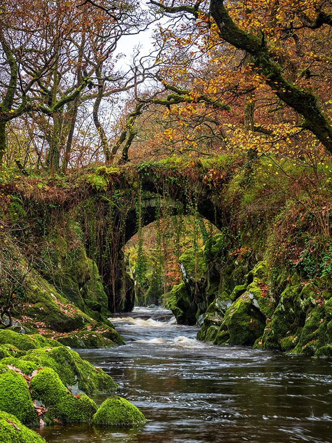 bridge photo